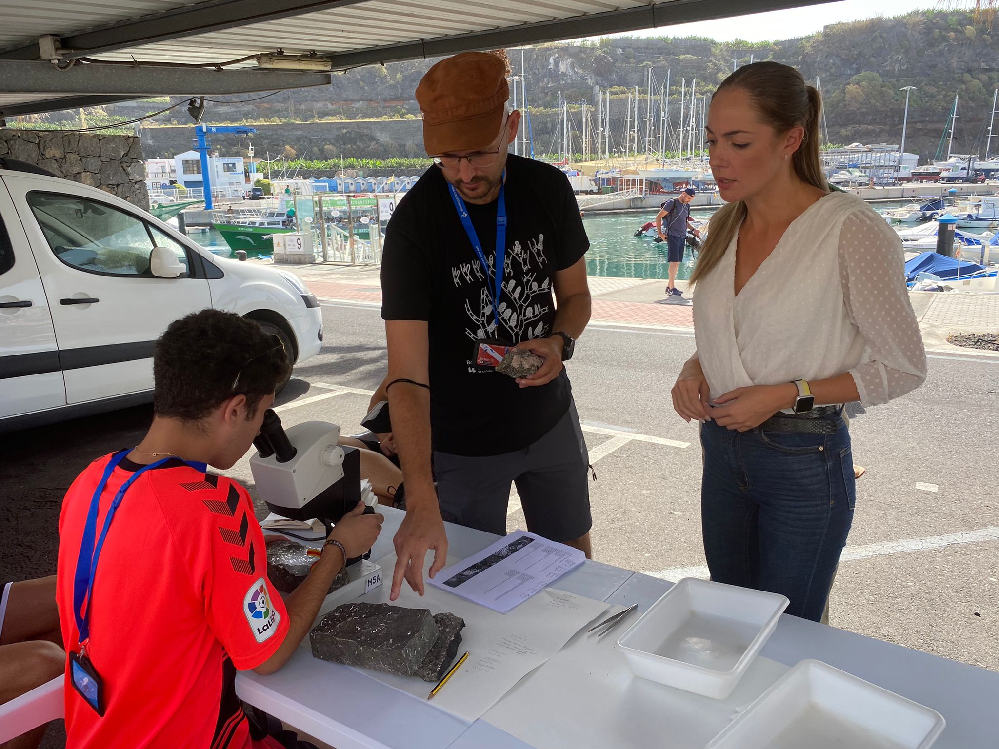 Medio Ambiente celebra el Día de los Océanos 🐋 con actividades sobre los ecosistemas marinos 🌊